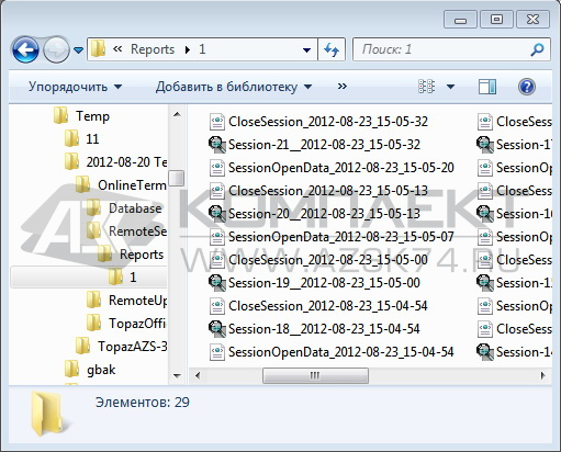 ПО "Топаз - Отчетный центр"