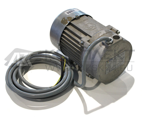 Двигатель Rael V80 TL4PR